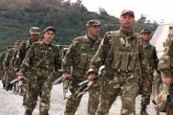 القضاء على “المانشو ” بمنطقة تيزي وزو