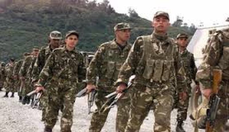 القضاء على “المانشو ” بمنطقة تيزي وزو