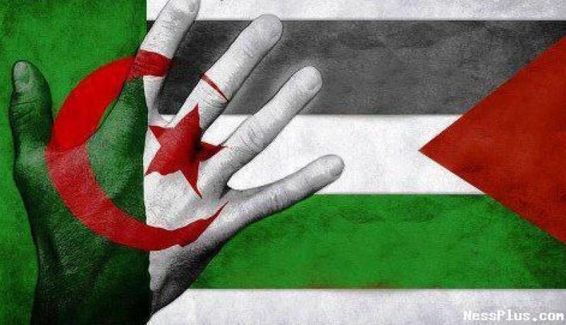الجزائر تجدد دعمها لنضال الشعب الفلسطيني لإقامة دولته المستقلة