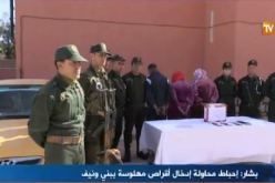 بالفيديو .. القبض على إمرأتين وسائق أجرة حاولوا تهريب مهلوسات ببشار