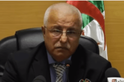 بالفيديو.. “بن مرادي” عازم على الارتقاء بـ 3 أصعدة