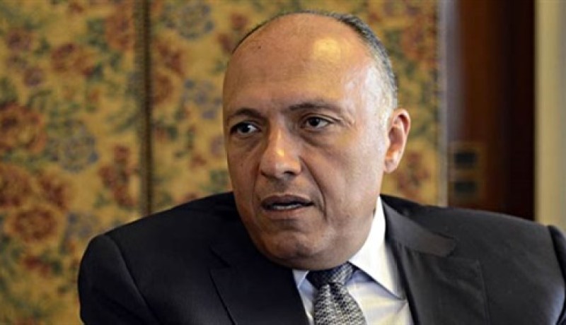 وزير الخارجية المصري في زيارة عمل الخميس إلى الجزائر