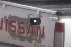 بالفيديو.. القبض على سارق مكيف مسجد في وضح النهار