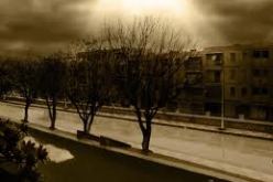 والي تيسمسيلت يؤكد ان زيارة سلال ستعود بالفائدة على الولاية