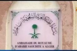 بالفيديو.. هكذا ستكون التأشيرة لدخول البقاع المقدسة لأداء العمرة