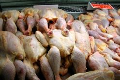 حجز 11 قنطارا من اللحوم البيضاء الفاسدة في تيسمسيلت