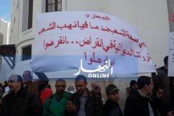 البياطرة: ثروتنا الحيوانية في انقراض..انقرضوا