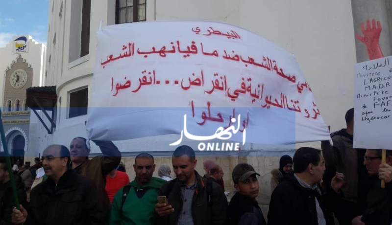 البياطرة: ثروتنا الحيوانية في انقراض..انقرضوا