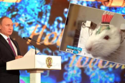 بالفيديو بوتين يستعمل جيشا من الجرذان لمساندة قواته العسكرية