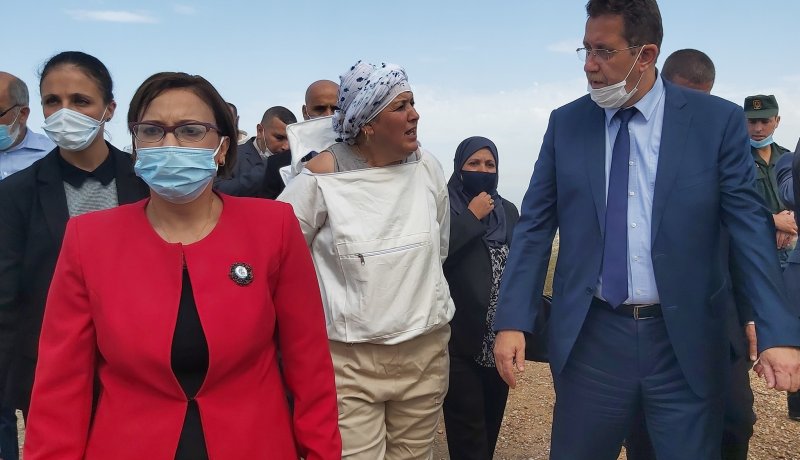 وزير الفلاحة: الدولة تدعم الفلاحين وخاصة مربي النحل وتحفيزات هامة لتوسيع نشاطهم