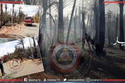 تمنراست..إخماد حريق بستان النخيل بمنطقة ايقسطن