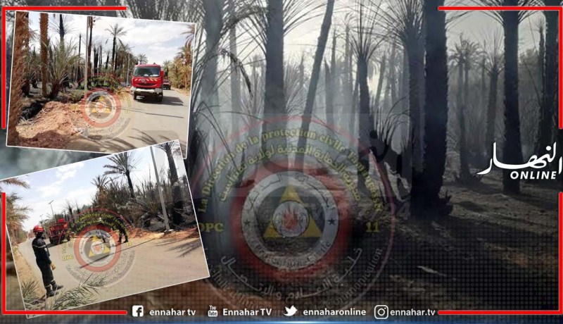 تمنراست..إخماد حريق بستان النخيل بمنطقة ايقسطن