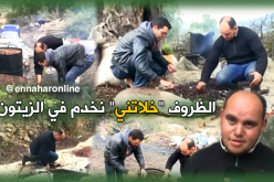 حسين… من أقسام الجامعة إلى أشجار الزيتون