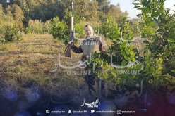 «ما رانيش مهبول حتى أهرب الكوكايين في حاويات مستوردة باسمي»