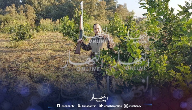 ابن تبون وإطارات سامون في الحبس بسبب «شكارة البوشي»!