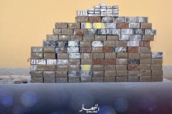 دفاع: توقيف 30 تاجر مخدرات وحجز أزيد من 12 قنطار “زطلة”
