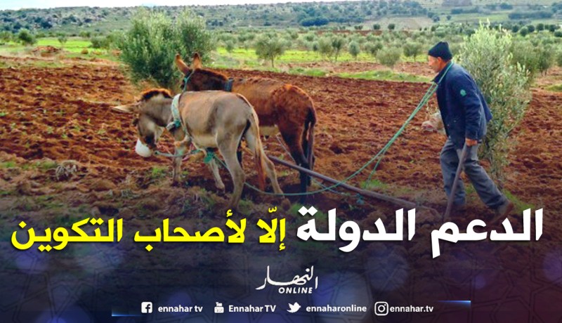 تكوين الفلاحين شرط للحصول على دعم الدولة