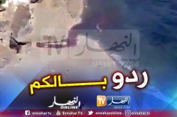 بالفيديو..كارثة بيئية بشاطئ “الحمامات” بالعاصمة أمام مرأئ المصطافين