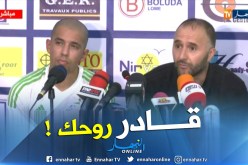 بالفيديو.. بلماضي يقصف صحفي طوغولي !!