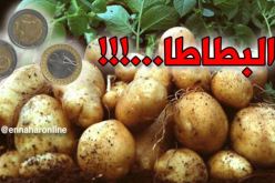 البطاطا 90 دج “كول يا ڨلّيل”