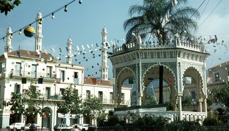 البليدة.. رفع 460 طن من النفايات