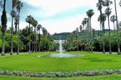 EVSM تكشف عن مشاريع لتغيير أوجه المدن الجزائرية