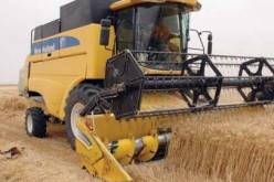 حصاد و درس: توقع تحقيق إنتاج يفوق 280 ألف قنطار بعنابة