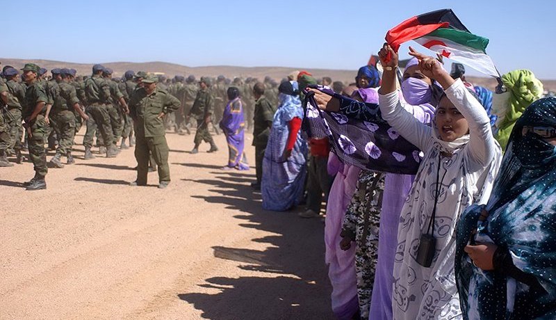 عمدة بلدية إيطالية تندد بأحكام مغربية ضد 23 مناضلا صحراويا