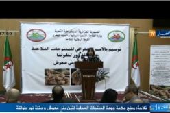 بالفيديو.. منح علامة المؤشر الجغرافي لدقلة نور لطولقة والتين المجفف لبني معوش