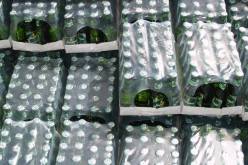 حجز 21 الف وحدة من المشروبات الكحولية في سطيف