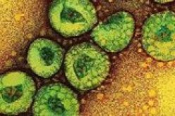 حالة وفاة أخرى بفيروس غريب