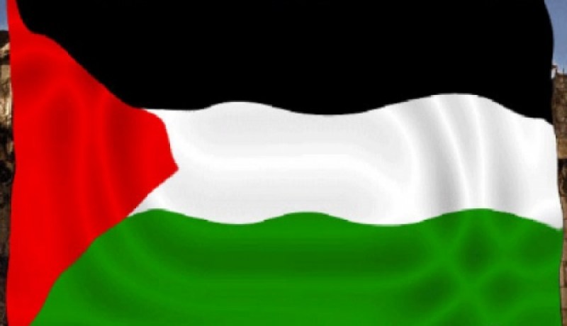 حملة لمناصرة الخضر بأعلام فلسطين