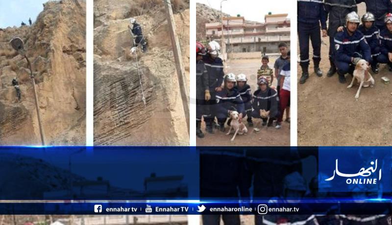 الحماية المدنية تنقذ كلبا عالقا على علو 50 متر بالشلف