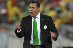 المغربي “الطاوسي” مدربا جديدا لشباب بلوزداد لمدة 18 شهر