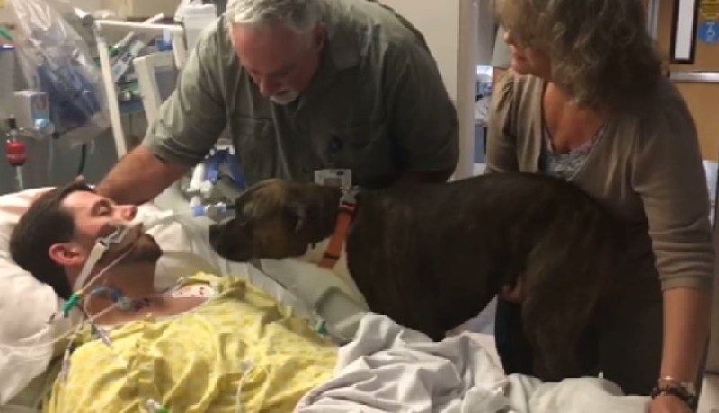 بالفيديو .. 12 مليون مشاهدة لكلب يودع صاحبه بالمستشفى