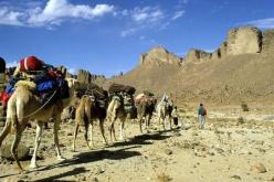 آلاف السواح الأجانب زارو ولاية تمنراست منذ بداية الموسم