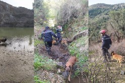 تواصل عملية البحث عن مفقود في تيزي وزو لليوم الرابع على التوالي