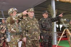 قايد صالح: أطراف تريد تلغيم المسيرات بتصرفات عدائية ضد الوطن وتساوم على وحدته