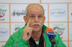 سعدان قمنا بأقصى جهدنا من أجل أن يستعيد الفريق قواه ضد سلوفينيا