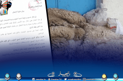 غليزان .. مصالح الولاية تخصص نقاطا لجمع جلود أضاحي العيد