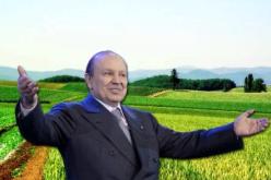 مفتشيات أملاك الدولة تمهل الفلاحين 8 أيام لتسديد ديونهم قبل متابعتهم قضائيا