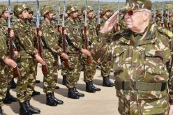 المؤسسة العسكرية: سنقطع طريق العصابة و”الدونكيشوتيين”