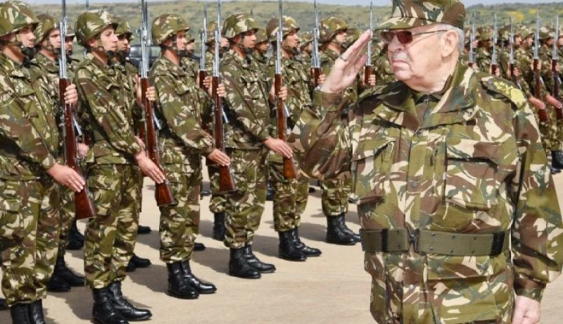 المؤسسة العسكرية: سنقطع طريق العصابة و”الدونكيشوتيين”