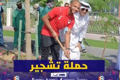 براهيمي يشارك في حملة زراعة مليون شجرة