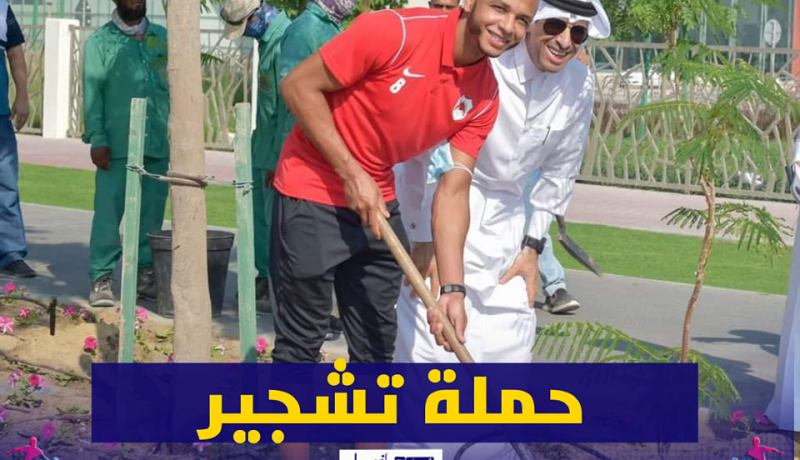 براهيمي يشارك في حملة زراعة مليون شجرة