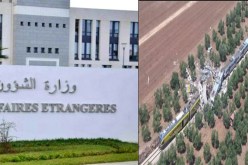 جزائري من بين ضحايا إصطدام قطارين في إيطاليا