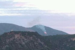 الشلف: الحماية المدنية تتدخل لإخماد حريق بغابة مشكال ببتنس