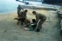 كلاب الميناء تمرغ ''حراڤ'' حد الإغماء أمام مرأى الأعوان