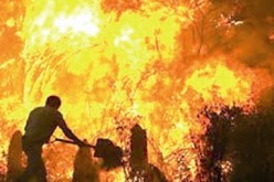 نشوب عدة حرائق بأراض فلاحية في تيارت