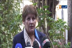 بن غبريت.. قرابة 40 ألف موظف أودعوا طلبات الإستفادة من التقاعد